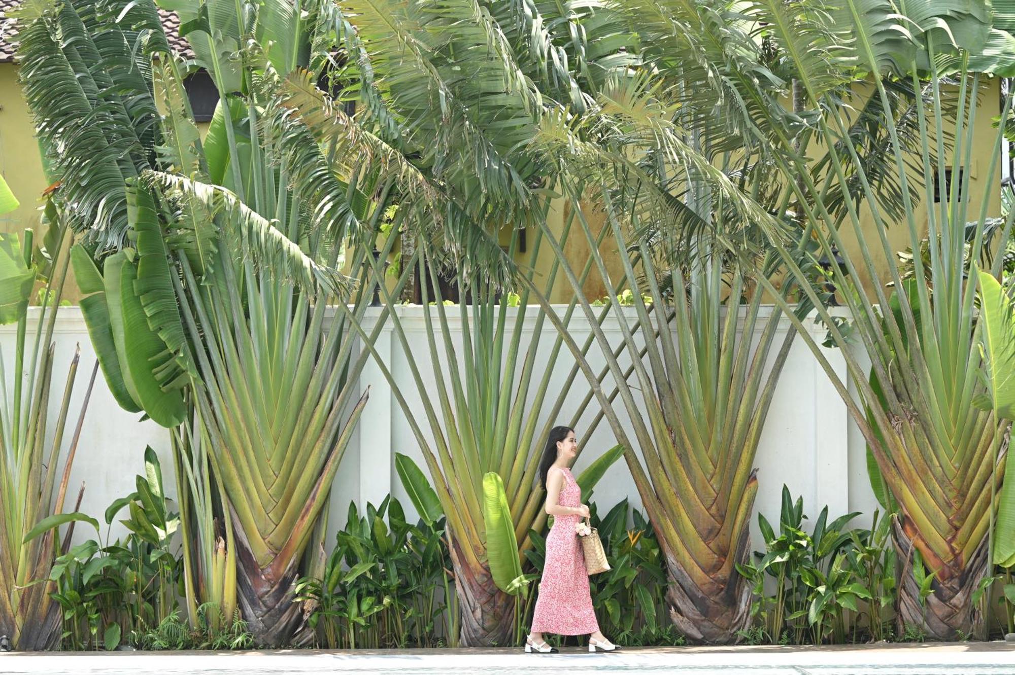 Shining Riverside Hoi An Boutique & Spa Kültér fotó